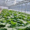 종순농장 이미지