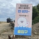 소나무비치민박 이미지