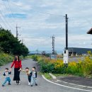 산인-2 | 요나고 아이랑 여행 이온몰 돗토리 기타, 요나고 놀이터, 산인관광패스 가격 인상