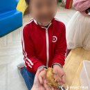 동신초교병설유치원 이미지