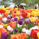 거창창포원 이미지