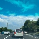 멍냥이꼬 | 반려묘 집사라면 한번쯤 가보면 좋을 2021케이캣페어 (강남전시회 / SETEC)