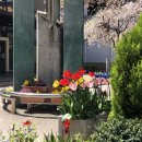 김센세 여행일본어 이미지