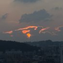 영통365약국 | We ㄱㄱ