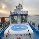 아쿠아좌대낚시터 | 서울 근교 좌대 낚시 추천 충남당진 아쿠아좌대 입어식,자연식 가격,채비,미끼 체험낚시 후기