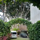 FoRest(숲&amp;휴식) | 발리 우붓 숙소 가성비 끝왕판 코마네카 앳 라사 사양 솔직 후기