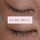 미인연구소 | 속눈썹펌] 화성 봉담읍 속눈썹 맛집 '이쁨연구소' 솔직 후기! (화성봉담속눈썹연장 / 화성봉담자연눈썹)