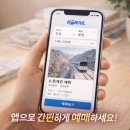 백두PC | 백두대간 협곡열차 좌석 예매 꿀팁 V트레인 예약 성공법과 오지역 여행 가이드까지 총정리