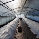 아버지목장 이미지