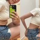 미자네 이미지