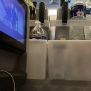 7273 | 서울 인천공항(ICN)-미국 디트로이트(DTW), 델타항공 KE7273 탑승 후기