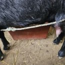 조산농장 이미지