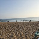 중문색달해수욕장 Daum카페