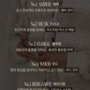 올리브영 향수추천_헤트라스 레이어드 핸드메이드 퍼퓸