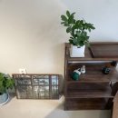 안커피Ancoffee