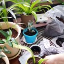 싱싱슈퍼 이미지