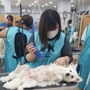 청주프로펫평생교육원