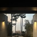 여여담