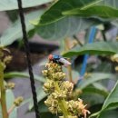 구원농장 이미지