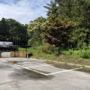 따따블PC방 | 담양 숙소_마치 우주선같이 생긴 숙소 “선인장카라반”