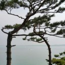 남국농장 이미지