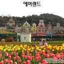 뿌빠엄마집 | 에버랜드 평일 오픈런 후기 :: 로스트밸리 워킹사파리, 튤립 축제 기간, 스페셜 불꽃쇼 :: 2만보 걷고도...