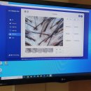 모모의꿈 이미지