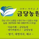 위즈캐슬어린이집 이미지