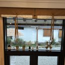 원촌 | 전남 촌캉스 나주 감성숙소 원촌뜰 솔직 후기(고양이 천국🐱✨)