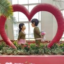 허브밸리(전망대) 이미지