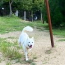 미호농장 이미지