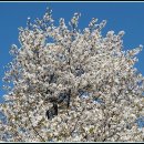 까치울역 2번 출구 이미지