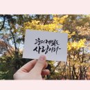 제일문구드림 이미지