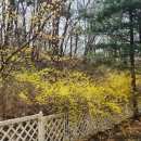 금촌유아숲체험원 이미지