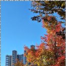 고려행정사사무소 이미지