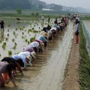 홍동중학교 이미지