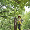 항동 철길 천왕산~개웅산 연계산행 이미지