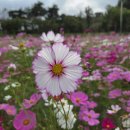 연양체육공원 이미지