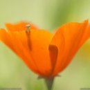 1박2일 모텔 이미지