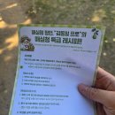 에버랜드 가든패스 하늘정원길 매실따기 체험