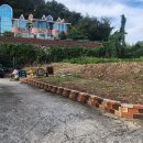 은빛아라 이미지