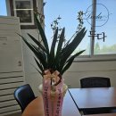하이트 진로 전주공장 | 임기축하난_동양난(전북 완주군 하이트진로 전주공장)