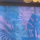 갯마을경로당 | 속초 &lt;갤러리 인 스테이&gt; 숙소 후기 +)주차장 협소할 때 꿀팁