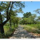 나정주유소 이미지