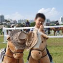 축협 | 🐄 울산 축협 한우축제 다녀온 후기