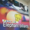 코끼리 당구클럽 이미지