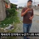 애견의숲 이미지