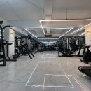 빈센트 핏 이미지