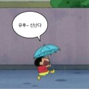 도트맨션 | 2026 장마 레인부츠 추천 위시리스트 ☔️ 29CM 할인 브랜드 모음 (그레이맨션·메티에·호와스)