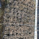 명자농장 이미지